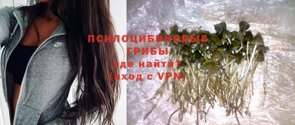 СК Белокуриха