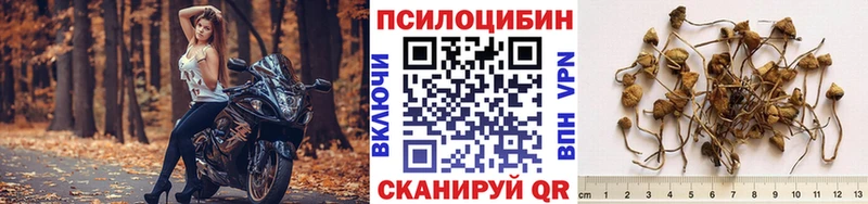 наркошоп  Великие Луки  Псилоцибиновые грибы прущие грибы 